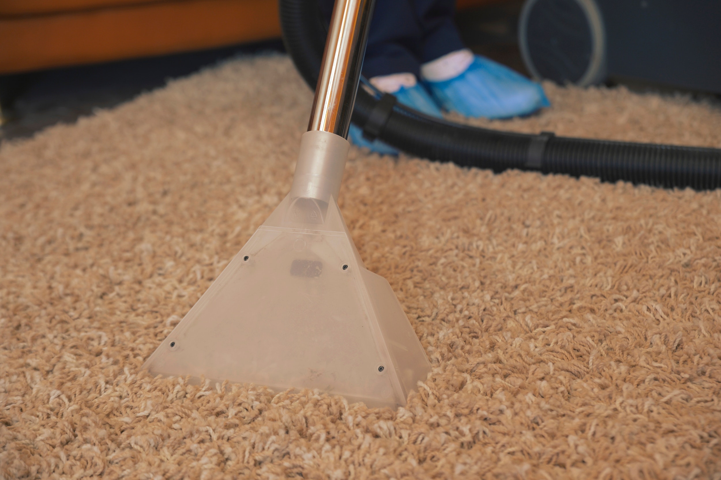  best carpet cleaning