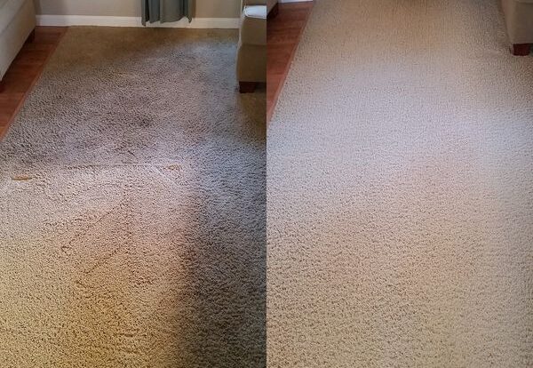 carpet cleaning service, carpet cleaning, carpet cleaner, carpet cleaning in athens ga, commercial cleaning in athens ga, upholstery cleaning in athens ga, tile and grout cleaning in athens ga