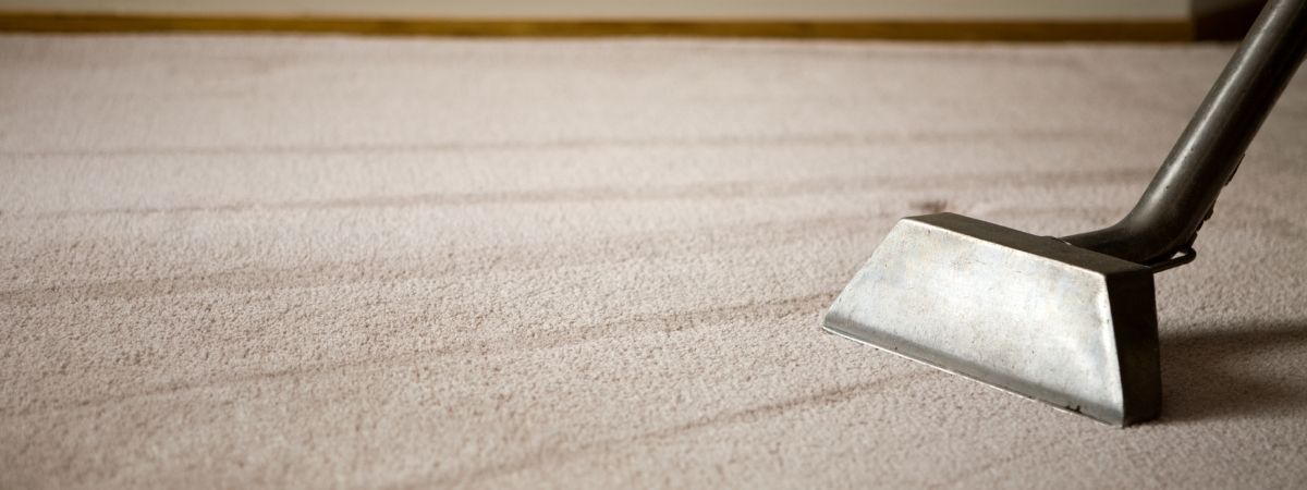 carpet cleaning in athens ga, carpet cleaning, carpet cleaning athens ga